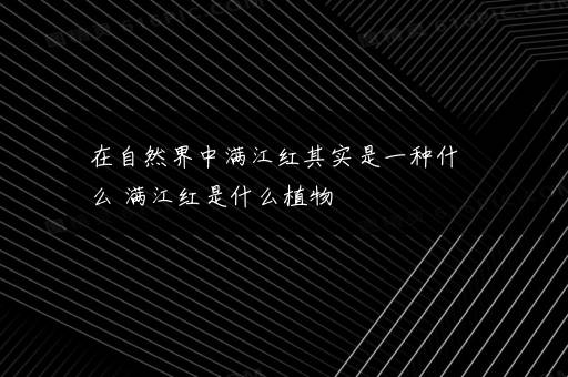 在自然界中满江红其实是一种什么 满江红是什么植物