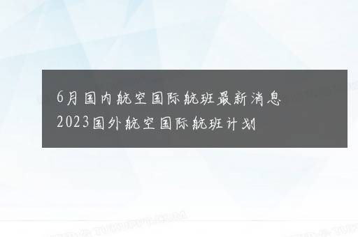 6月国内航空国际航班最新消息 2023国外航空国际航班计划