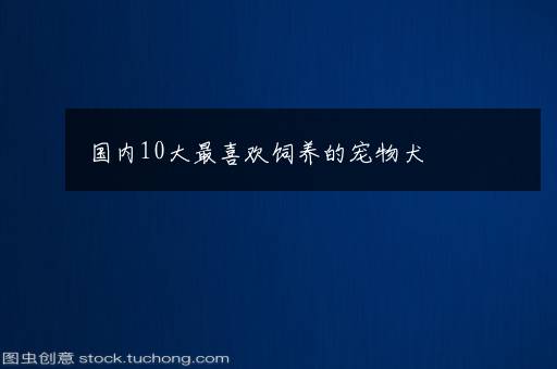 国内10大最喜欢饲养的宠物犬