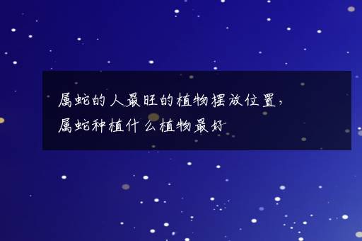 我想我会悠然自得我想我会悠然自得是什么歌