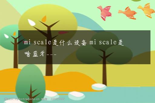 mi scale是什么设备 mi scale是啥蓝牙