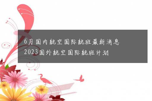 6月国内航空国际航班最新消息 2023国外航空国际航班计划