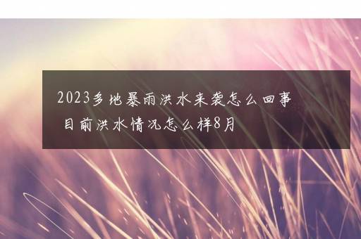 2023多地暴雨洪水来袭怎么回事 目前洪水情况怎么样8月