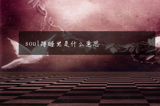 soul蹲睡觉是什么意思