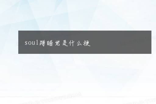 soul蹲睡觉是什么梗