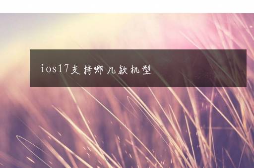 ios17支持哪几款机型