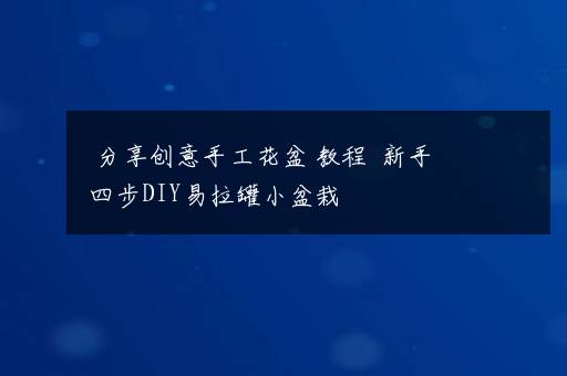 分享创意手工花盆 教程  新手四步DIY易拉罐小盆栽