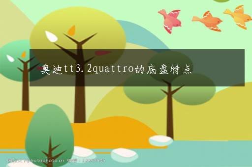 奥迪tt3.2quattro的底盘特点