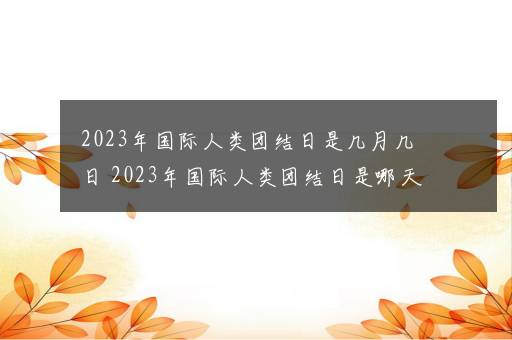 2023年国际人类团结日是几月几日 2023年国际人类团结日是哪天