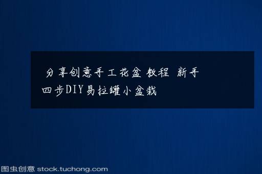 分享创意手工花盆 教程  新手四步DIY易拉罐小盆栽