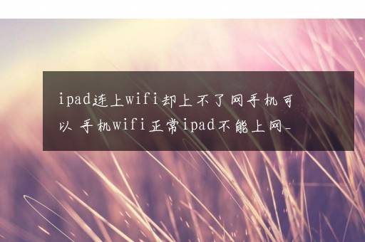 ipad连上wifi却上不了网手机可以 手机wifi正常ipad不能上网