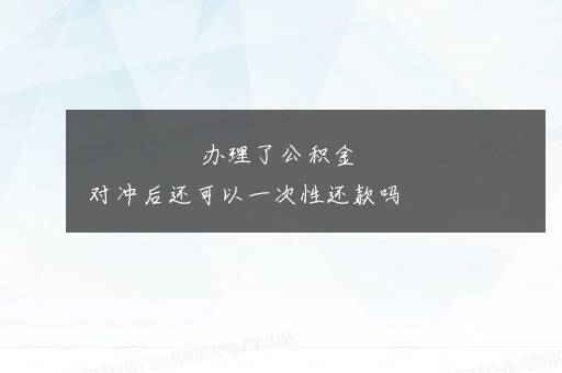 办理了公积金对冲后还可以一次性还款吗