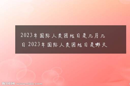 2023年国际人类团结日是几月几日 2023年国际人类团结日是哪天