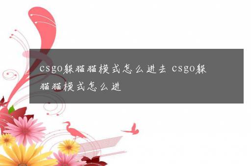 csgo躲猫猫模式怎么进去 csgo躲猫猫模式怎么进