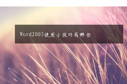 Word2003使用小技巧有哪些