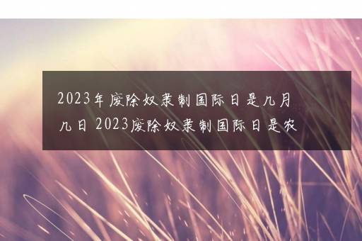 2023年废除奴隶制国际日是几月几日 2023废除奴隶制国际日是农历几号