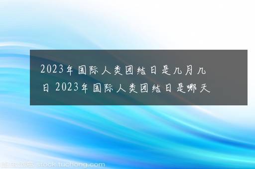 2023年国际人类团结日是几月几日 2023年国际人类团结日是哪天