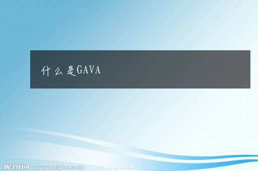 什么是GAVA