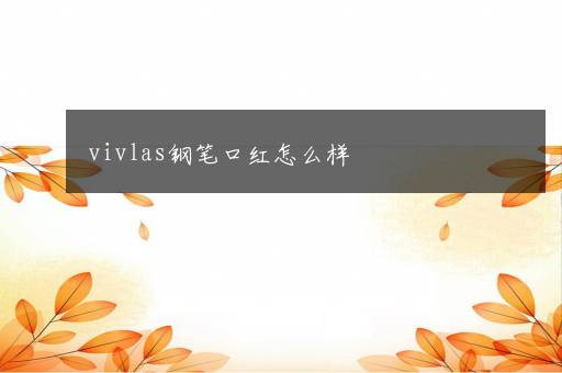 vivlas钢笔口红怎么样