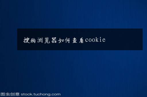 搜狗浏览器如何查看cookie