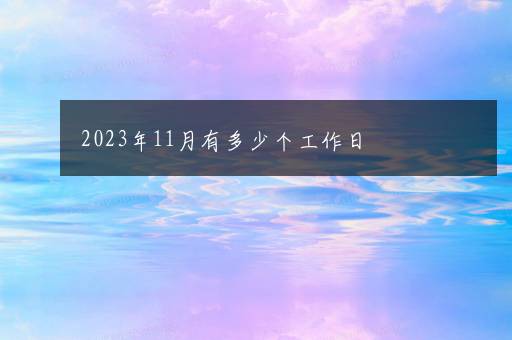 2023年11月有多少个工作日