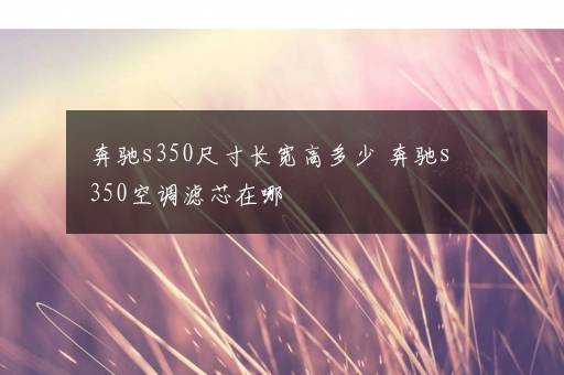 奔驰s350尺寸长宽高多少 奔驰s350空调滤芯在哪