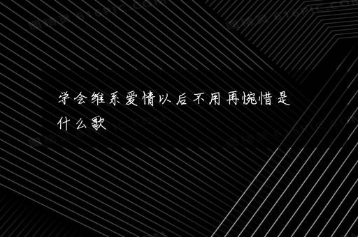 学会维系爱情以后不用再惋惜是什么歌