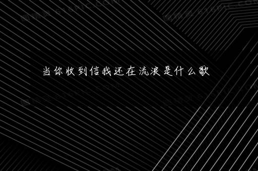 当你收到信我还在流浪是什么歌