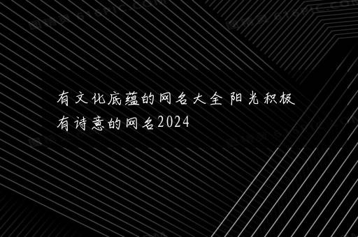 有文化底蕴的网名大全 阳光积极有诗意的网名2024