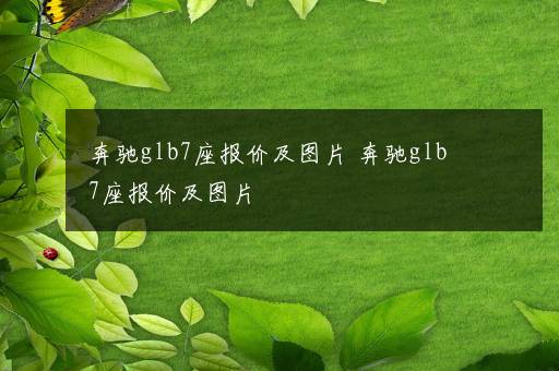 奔驰glb7座报价及图片 奔驰glb7座报价及图片