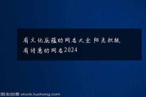 有文化底蕴的网名大全 阳光积极有诗意的网名2024