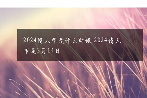 2024情人节是什么时候 2024情人节是2月14日