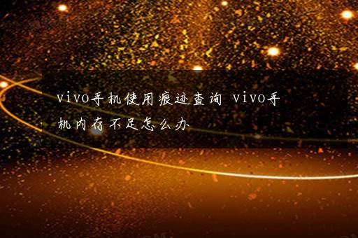 vivo手机使用痕迹查询  vivo手机内存不足怎么办