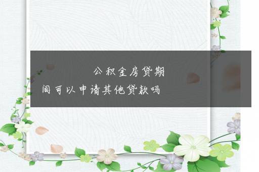 公积金房贷期间可以申请其他贷款吗