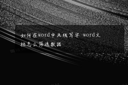 如何在word中画线写字  word文档怎么筛选数据