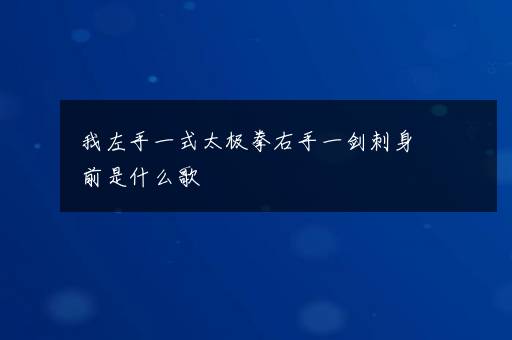 我左手一式太极拳右手一剑刺身前是什么歌