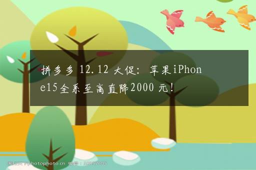 拼多多 12.12 大促：苹果iPhone15全系至高直降2000+元！