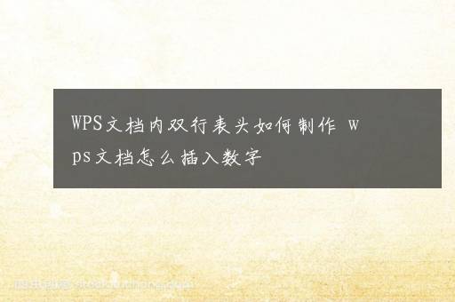 WPS文档内双行表头如何制作  wps文档怎么插入数字