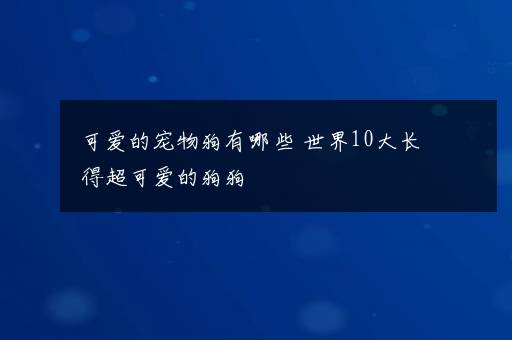 可爱的宠物狗有哪些 世界10大长得超可爱的狗狗