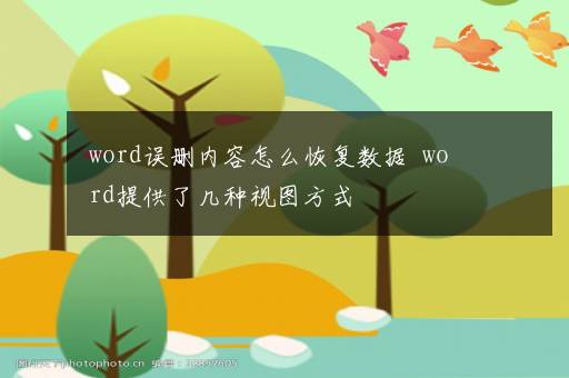 word误删内容怎么恢复数据  word提供了几种视图方式